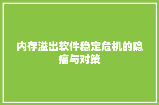 内存溢出软件稳定危机的隐痛与对策