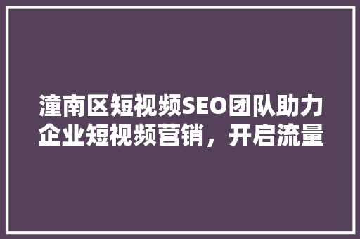 潼南区短视频SEO团队助力企业短视频营销，开启流量新纪元