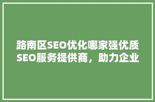 路南区SEO优化哪家强优质SEO服务提供商，助力企业腾飞