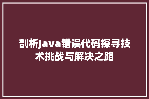剖析Java错误代码探寻技术挑战与解决之路