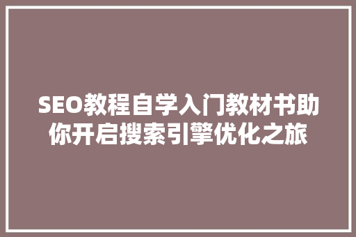 SEO教程自学入门教材书助你开启搜索引擎优化之旅