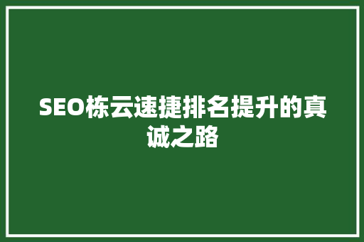 SEO栋云速捷排名提升的真诚之路