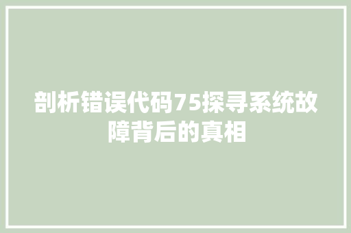 剖析错误代码75探寻系统故障背后的真相