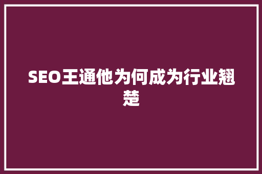 SEO王通他为何成为行业翘楚