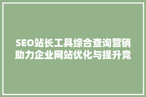 SEO站长工具综合查询营销助力企业网站优化与提升竞争力