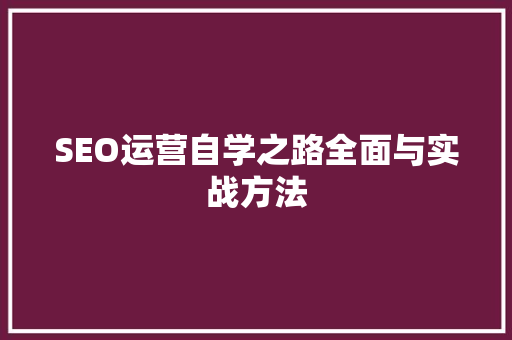 SEO运营自学之路全面与实战方法