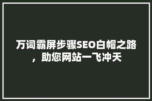 万词霸屏步骤SEO白帽之路，助您网站一飞冲天