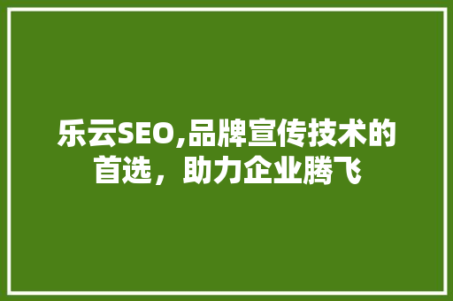 乐云SEO,品牌宣传技术的首选，助力企业腾飞