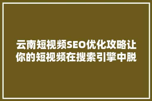 云南短视频SEO优化攻略让你的短视频在搜索引擎中脱颖而出
