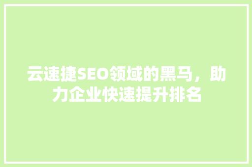 云速捷SEO领域的黑马，助力企业快速提升排名