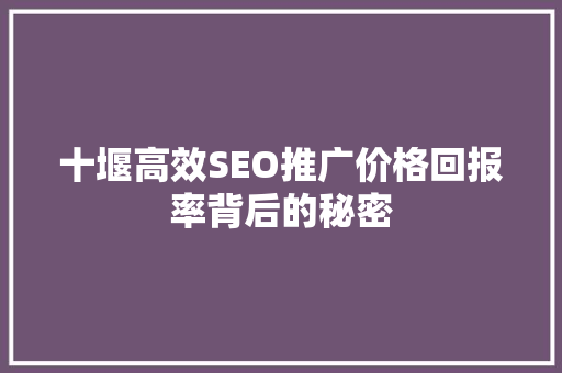 十堰高效SEO推广价格回报率背后的秘密