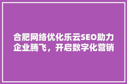 合肥网络优化乐云SEO助力企业腾飞，开启数字化营销新时代