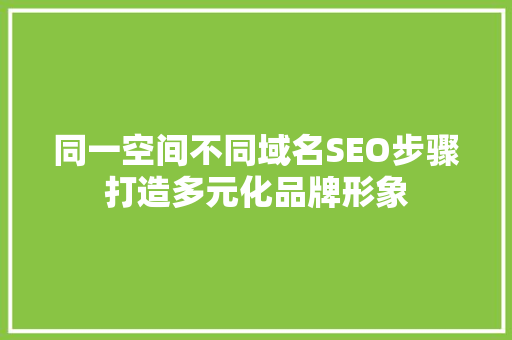 同一空间不同域名SEO步骤打造多元化品牌形象