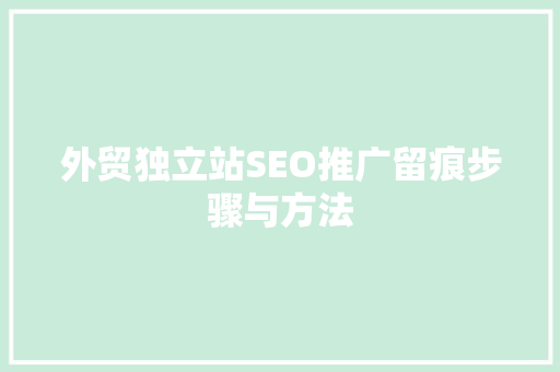 外贸独立站SEO推广留痕步骤与方法
