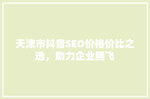 天津市抖音SEO价格价比之选，助力企业腾飞