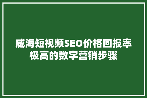 威海短视频SEO价格回报率极高的数字营销步骤