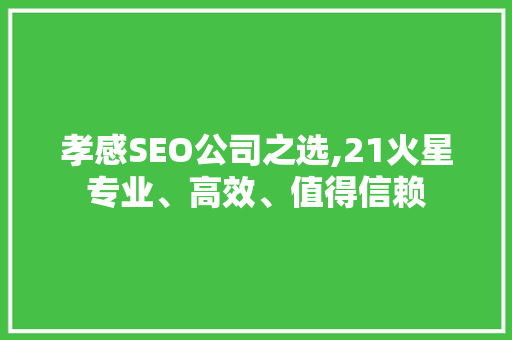孝感SEO公司之选,21火星专业、高效、值得信赖  第1张
