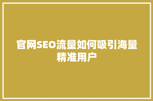 官网SEO流量如何吸引海量精准用户