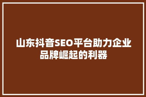 山东抖音SEO平台助力企业品牌崛起的利器  第1张