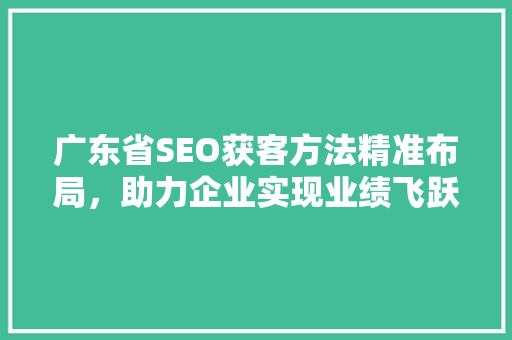 广东省SEO获客方法精准布局，助力企业实现业绩飞跃