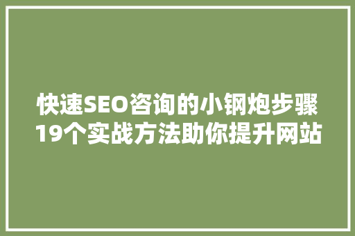 快速SEO咨询的小钢炮步骤19个实战方法助你提升网站排名