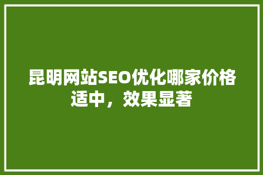 昆明网站SEO优化哪家价格适中，效果显著