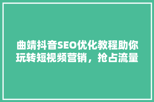 曲靖抖音SEO优化教程助你玩转短视频营销，抢占流量高地