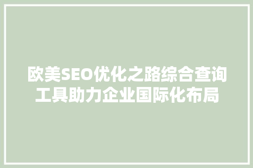 欧美SEO优化之路综合查询工具助力企业国际化布局