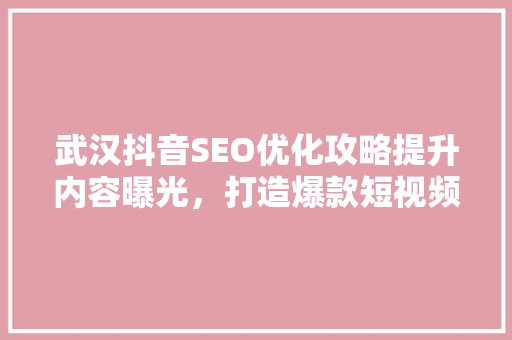 武汉抖音SEO优化攻略提升内容曝光，打造爆款短视频  第1张