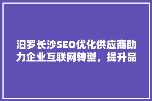 汨罗长沙SEO优化供应商助力企业互联网转型，提升品牌影响力