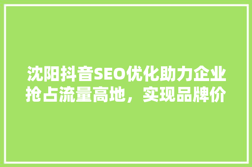 沈阳抖音SEO优化助力企业抢占流量高地，实现品牌价值最大化