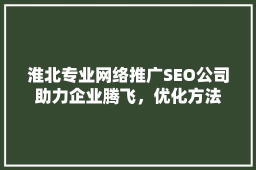 淮北专业网络推广SEO公司助力企业腾飞，优化方法