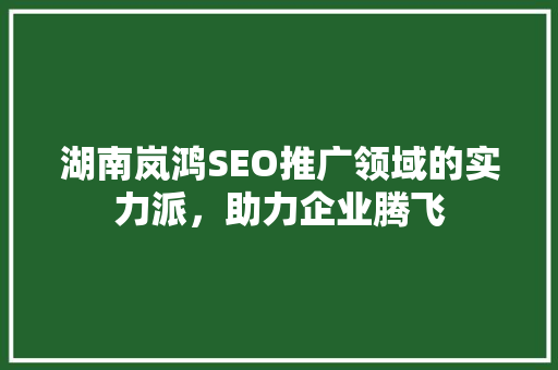 湖南岚鸿SEO推广领域的实力派，助力企业腾飞
