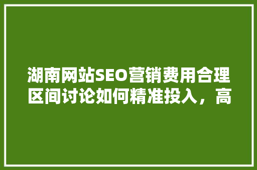 湖南网站SEO营销费用合理区间讨论如何精准投入，高效提升网站排名