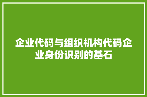 企业代码与组织机构代码企业身份识别的基石