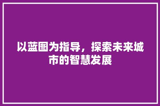 以蓝图为指导，探索未来城市的智慧发展