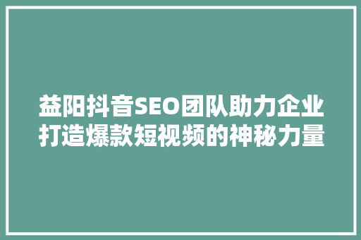 益阳抖音SEO团队助力企业打造爆款短视频的神秘力量  第1张