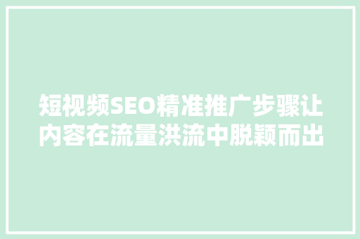 短视频SEO精准推广步骤让内容在流量洪流中脱颖而出