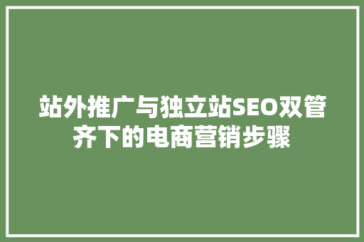 站外推广与独立站SEO双管齐下的电商营销步骤