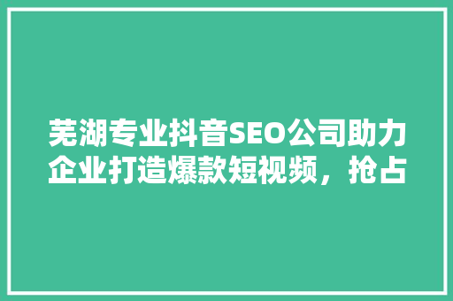 芜湖专业抖音SEO公司助力企业打造爆款短视频，抢占市场先机