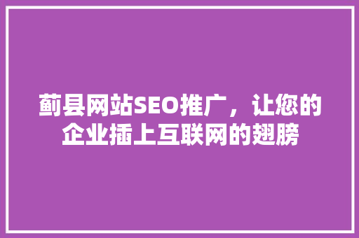 蓟县网站SEO推广，让您的企业插上互联网的翅膀