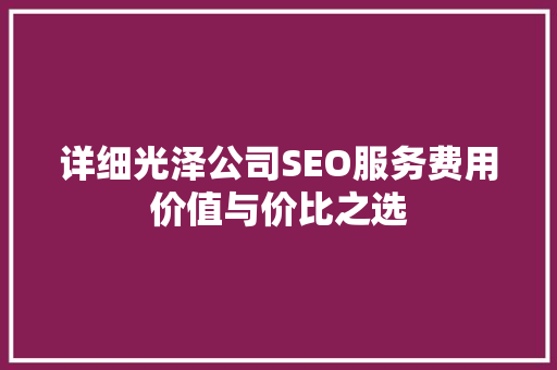 详细光泽公司SEO服务费用价值与价比之选