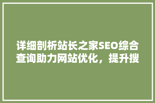 详细剖析站长之家SEO综合查询助力网站优化，提升搜索引擎排名