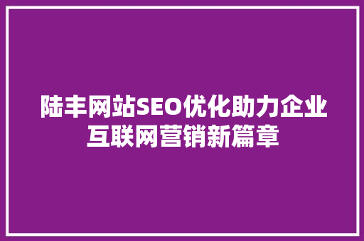 陆丰网站SEO优化助力企业互联网营销新篇章