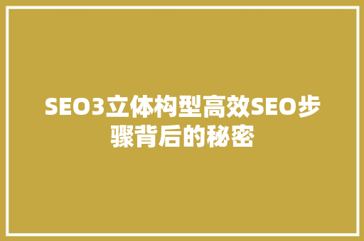 SEO3立体构型高效SEO步骤背后的秘密