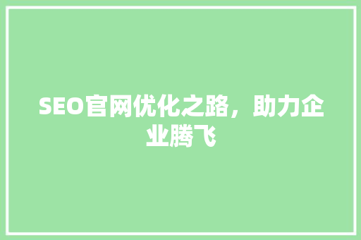 SEO官网优化之路，助力企业腾飞