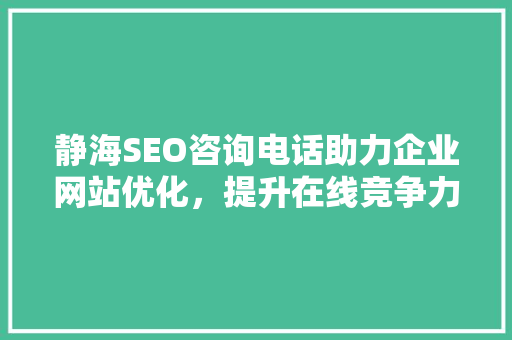 静海SEO咨询电话助力企业网站优化，提升在线竞争力  第1张