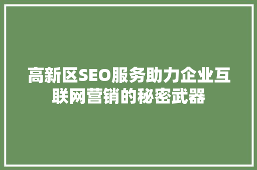 高新区SEO服务助力企业互联网营销的秘密武器