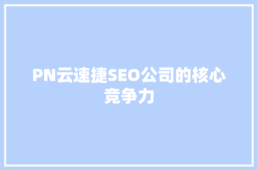 PN云速捷SEO公司的核心竞争力