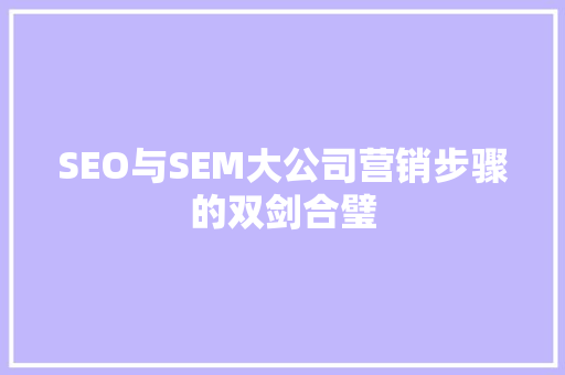 SEO与SEM大公司营销步骤的双剑合璧  第1张